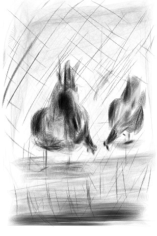 20120428-094831 PM.jpg