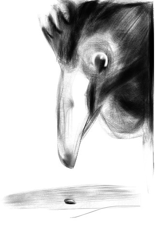 20120428-095058 PM.jpg